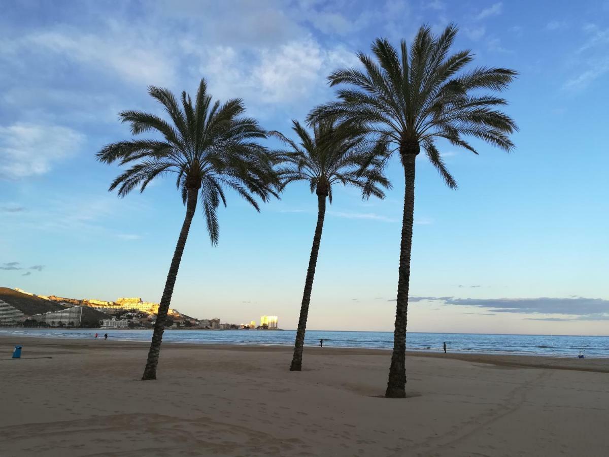 Appartement Florazar 2, 8ºc